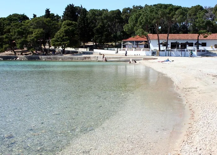 Gostinjska kuća Apartments And Rooms With Parking Space Biograd Na Moru, Biograd - 6219